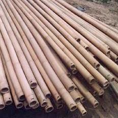 Canya Bambú 1,05m. 12-14mm