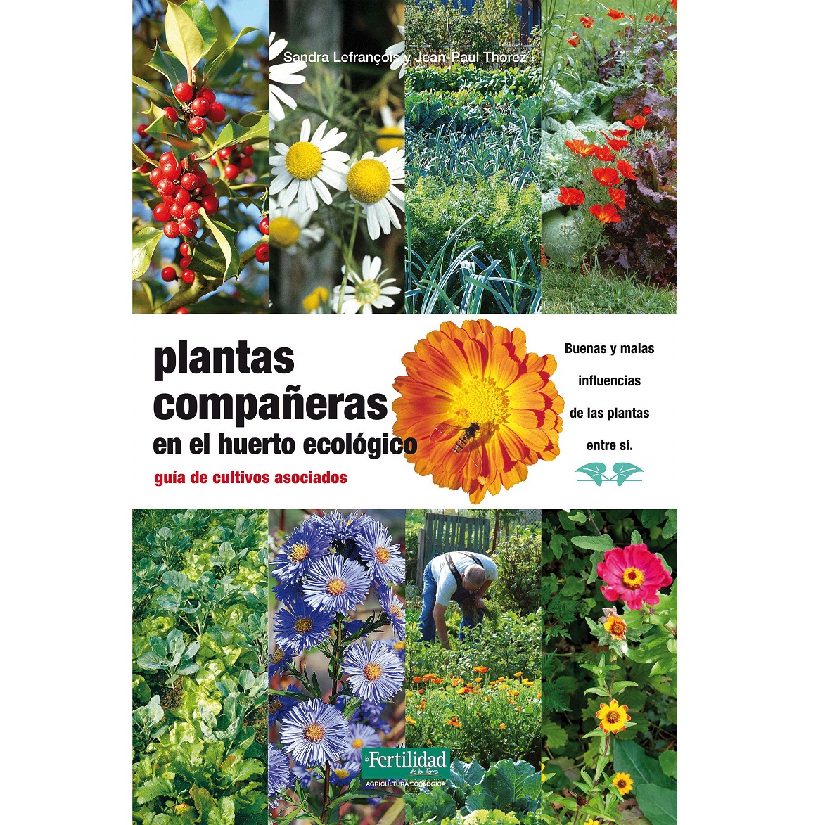 Llibre “Plantas Compañeras”